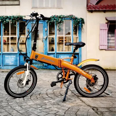 36v 250w Europe Standard 25km/h 20 Inch Foldable Covered Small Folding X-man Electric Bike