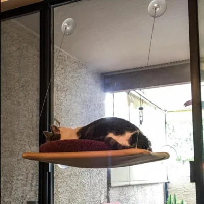 Factory Wholesale Pet Cat Suction Hammock Hot Selling Pet Litter Cat Bed Cat Hammock