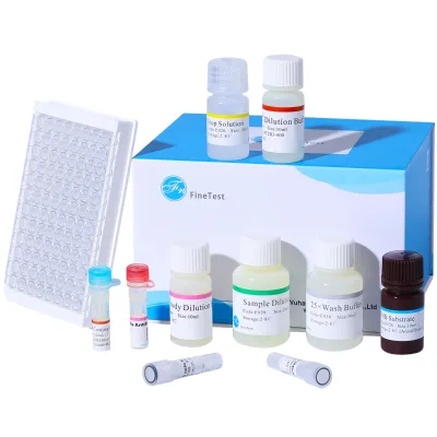 Custom Human OxLDL ELISA Kit Scientific Research Oxidized Low-density Lipoprotein ELISA Kit FineTest