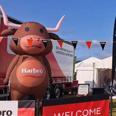 Brown Inflatable Highland Cow Christmas Highland Blow up Cow Highland Cow Christmas Blowup