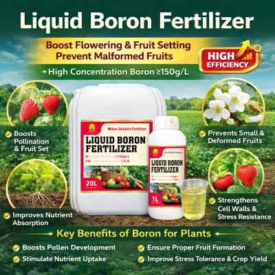 High Purity Liquid Boron Fertilizer 150g/L Crop Enhancer Fast Absorption Boron Supplement for Crops Foliar Spray Fertilizantes