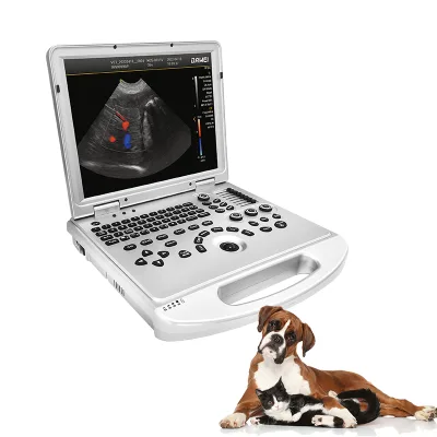 15.1 Inch Screen Usg Pet Hospital Doppler Sonar Scanner 3.5/5.0/7.5MHz Probe Laptop PW Veterinary Ultrasonic Sonar Scanner L3 CE