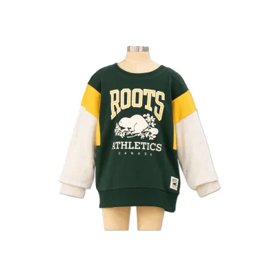 Premium Girls Sweatshirt Heavy Weight Terry Fabric Girls Clothing Kids Sweatshirts Custom Kids Clothes From Cambodia