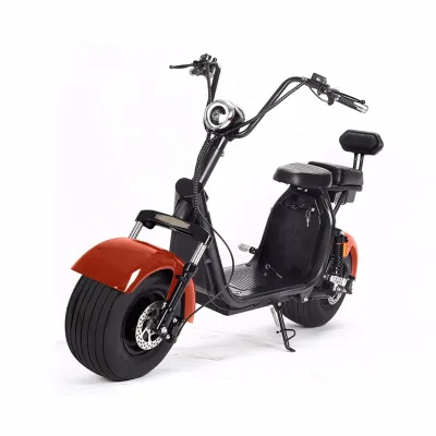 Chinese Manufacturers 2 Seats Ebike 2000W Adults Electric Scooter Citycoco Without Battery