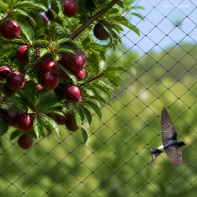 MOQ Transparent 100% New Material 0.12mm Protection Netting for Crops Nut Trees Berry Farm Rice Paddy Grain Field Canopy