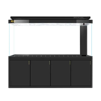 Large and Medium-sized Fish tank - Golden Dragon Fish Aquarium with Bottom Filter and Ultra-clear Glass - Flip-top Fish tank