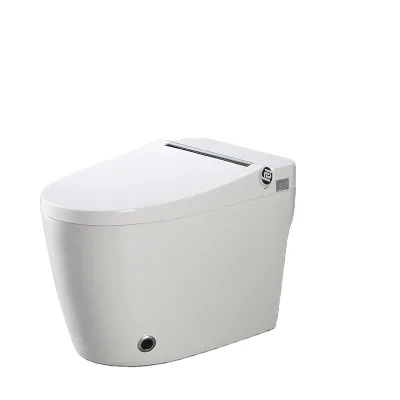 Empolo Factory Sale Intelligent 110v Bathroom Smart Toilet Vortex Siphon Flush Engineering Models Floor Mounted Inodoro