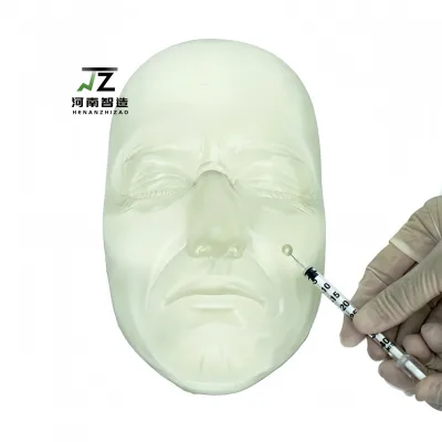 Transparent Female Facial Model for Cosmetic Injection Practice, Intuitive Visual Teaching Mannequin