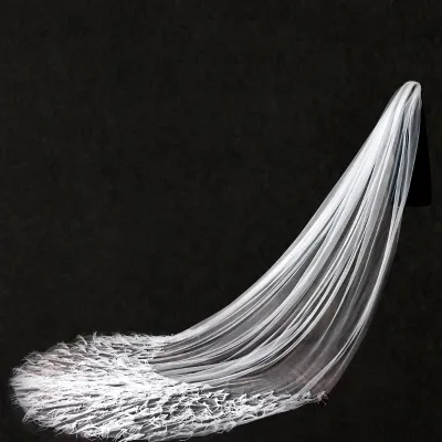 Cheerfeel VE336 Wedding Head Bride Veil Indian Bridal Veil Long with Feather