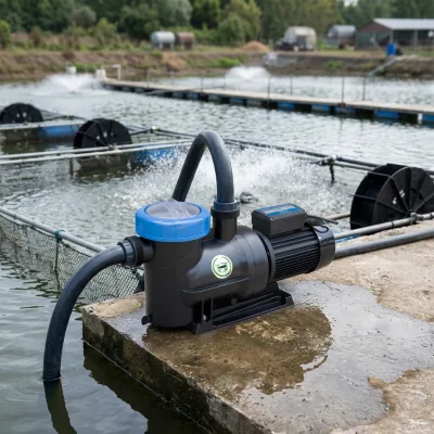 3 Horse Power Swimming Pool Pump Water Filter for Fishing Ground Aquaculture
