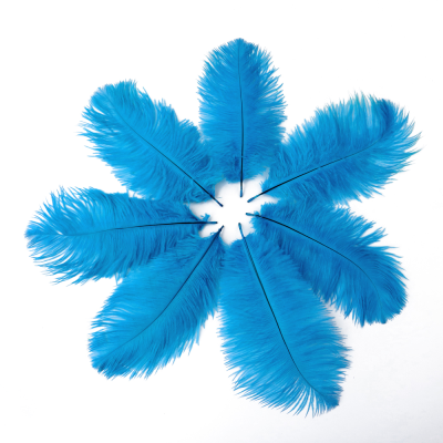 Wholesale Natural Ostrich Feathers for Party Carnival Wedding Dress up Feather Wall 6-8 Inches