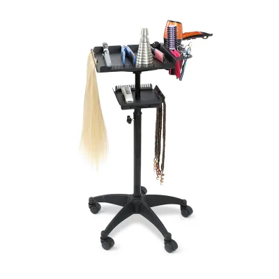 Modern Design Double-deck Hair Extensions and Dye Stand for Barber Equipment