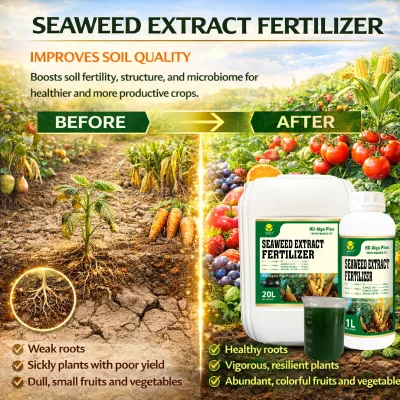 Seaweed Organic Fertilizer for Fruits Improve Sugar Content and Quality