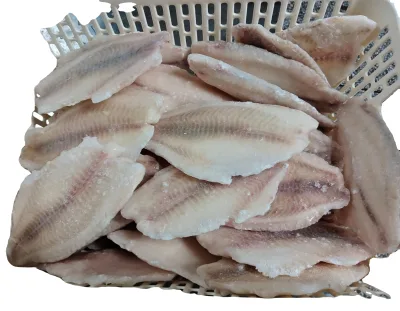 Frozen Tilapia Fish  Fillet