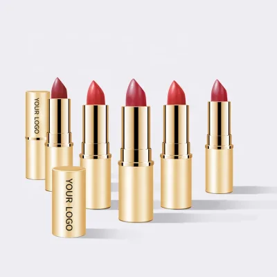 OEM High Quality 6 Colors Optional Moisturizing Lipstick