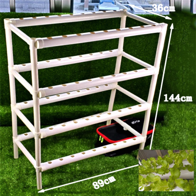 Cutting-Edge Hydroponic Technology Hydroponic Plant Saponins