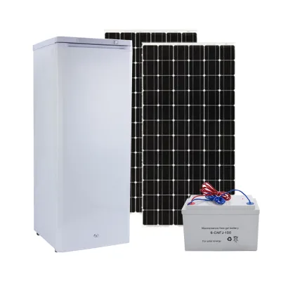 Combined Type 12V24V AC/DC Chiller Adapter Cooling Ice Cream Digital Controller off Grid Solar Refrigerator Upright Freezer 178L