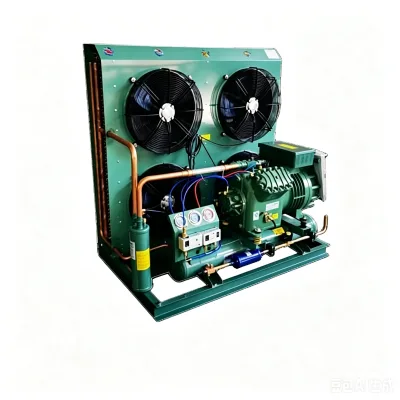 Single Compressor Semi-Hermetic Condensing Unit Air Cooled Small Logistics Mini Cold Storage Machine