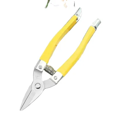 Stainless Steel Fruit Picking Pruning Orange Pruning Flower Thinning Art Garden and Orchard Scissors