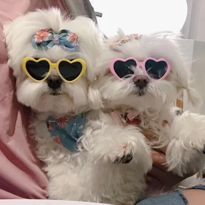 Hot Sale Pet Accessories Heart Shape Pet Dog Cat Sunglasses Plastic Pet Sunglasses