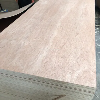 Cheap Used Plywood for Sale 2mm to 25mm
