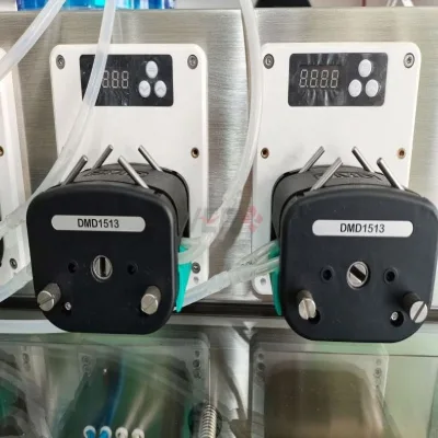Shaping Filling Sealing Packing and Packaging Assembly Line FFS Machine