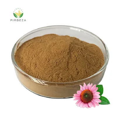Wholesale Price Pure Natural Organic Echinacea Purpurea Extract 4% Polyphenol Powder