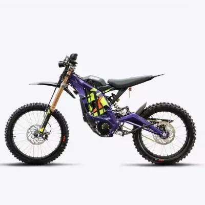 2026 Light Bee Max Speed 80Km/h 10Kw Electric Bike 295N.m 72V Off-road Electric Dirt Bike Adult