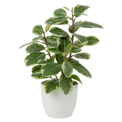 Artificial Plants Plastic Camellia Leaves Plant Indoor Plant Floral Arrangements for Desktop Bonsai Home Office Decoration