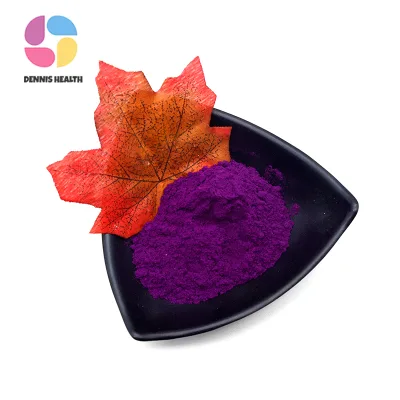 Factory Supply Black Currant Extract Powder Ribes Nigrum Extract Rich Anthocyanins Antioxidant for Dietary Supplement Capsule
