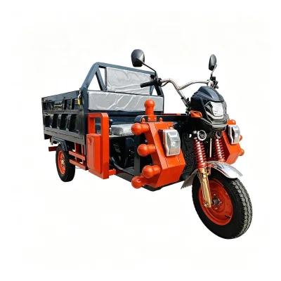 Off-Road Tilting Sporty Folding Electric 3 Wheel Trike Car High Quality Mini Chinese Adult Heavy Duty Cargo Tricycle Electric