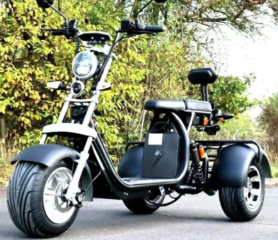 2024 VAT EEC/COC Electric Tricycle Unisex Long Distance Powerful 45km/h Golf Mobility Two-Seater Electronic
