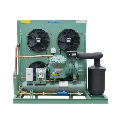 Customized Professional R404a Condensing Unit for Cold Storage Cold Storage Condenser and Refrigeration Part