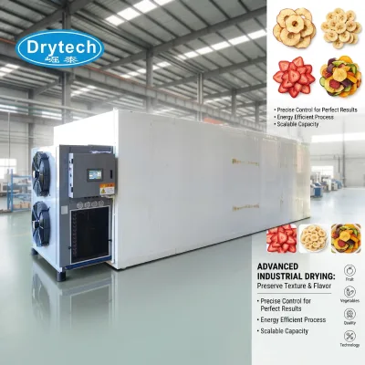 DRYTECH OEM ODM Custom Industrial Heat Pump Dryer Commercial Food Dehydrator Fruit Drying Equipment 1200KG 380V/480V 1 Year