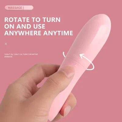 Mini Dolphin Shape Vibrator for Women G Spot Clitoral Dual Stimulation ABS Material Waterproof Silent Portable Toy