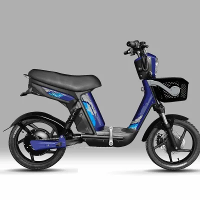 Two Wheel Electric Bike 17 Inch Wheel, 24 Magnets 9 Tubes Controller, Built-in MP3, 250-18 Rubber Tire E-Bicycle