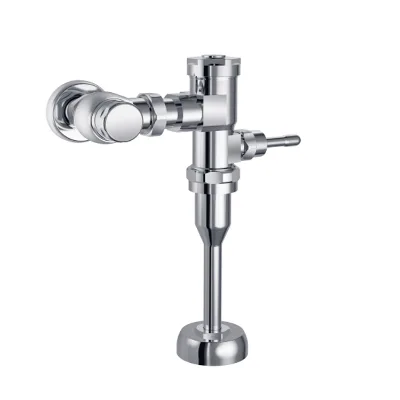 2022 Top Selling Products Made in China Urinal Toilet Flush Valve Urinal Valve  Urinal Handle