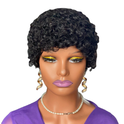 Promotion in Progress Short Curly Human Hair Wig for Black Women Natural Black Human Hair With Bangs