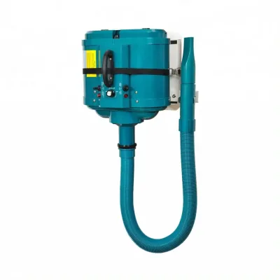 New Continuously Variable Speed Full Metal Shell Dog Dryer Dual Motor Commercial Pet Dryer Whit Long-haired Dog Special Nozzle