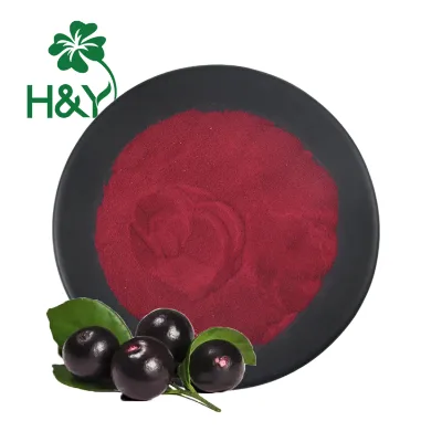 100% Nature Acaiberry Wholesale Price Acai Berry Extract Acaiberry Powder