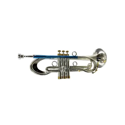 SEASOUND Professional JYTR409MA-DSG Trumpet Silver Body with Gold Keys Heavy Piston Instrument BB Tone