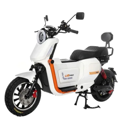 2026 Hot Sales Electric Bicycle U2+B 1500W 60V30AH Removable Iron Battery Adult Urban Electric Bike