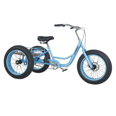 Hot Sale Fat Tyre Tricycle for Adults/beach Tricycle Bike GW7022