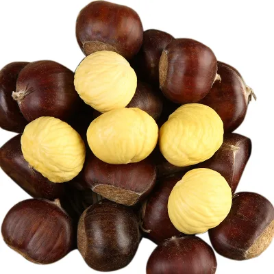 Natural Sweet Easy to Peel Hebei Fresh Chestnuts