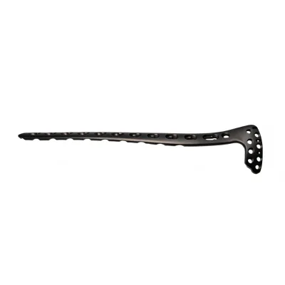 Orthopedic Plate