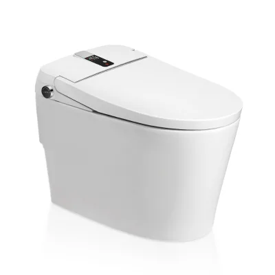 Ceramic Floor Mounted Siphonic Concealed Tank Remote Controller LED Display Smart Toilet