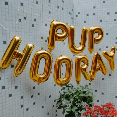 Pets Party Banner Bunting Letter Balloons PUP PUP HOORAY for Dogs Birthday Balloon Dog Puppy Party Decoration Globos Ballon