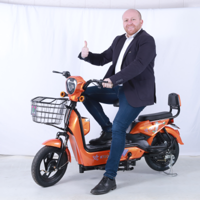 Best Design Cheap Electric Bike for Sale Full Suspension Mountain Bicycle 36V 48V 250W 350W 500W 350W Electro Bikes