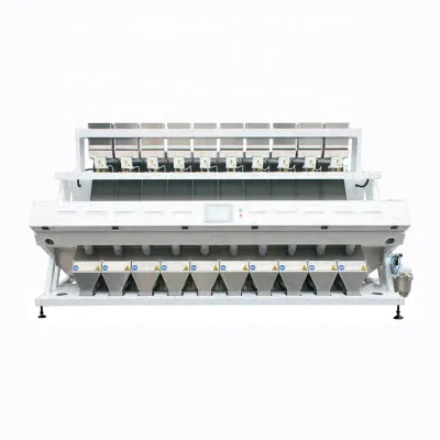 Color Sorter for Grain Seed Grading