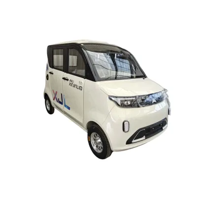 2024 TG Electric Motors Small Electric Car with EEC Approval Single Drive Motor